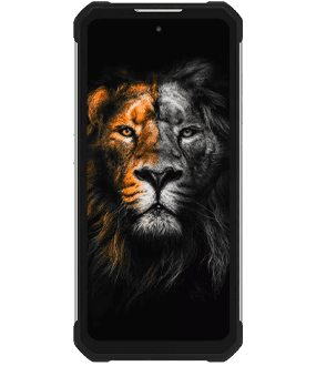 Ремонт Oukitel WP17 в Сочи