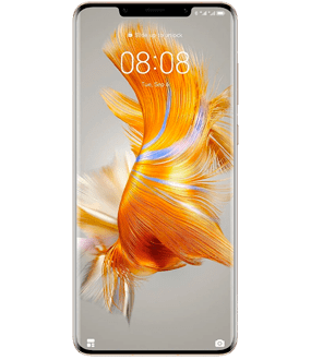 Ремонт Huawei Mate 50 в Сочи