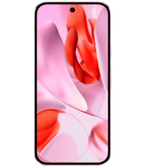 Ремонт Google Pixel 9 в Сочи