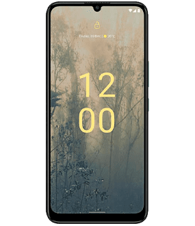 Ремонт Nokia C31 в Сочи